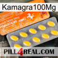 Kamagra100Mg new05